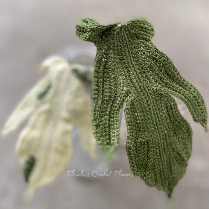 Philodendron Florida Ghost
