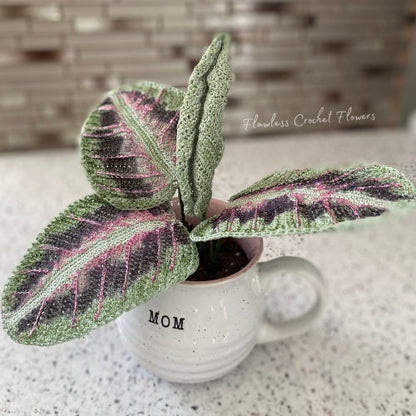 Crochet Prayer Plant