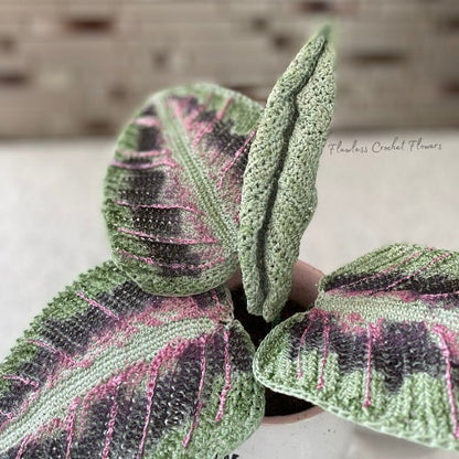 Crochet Prayer Plant