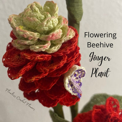 Beehive Ginger Plant