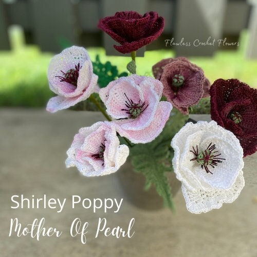 Shirley Poppy Mother Of Pearl