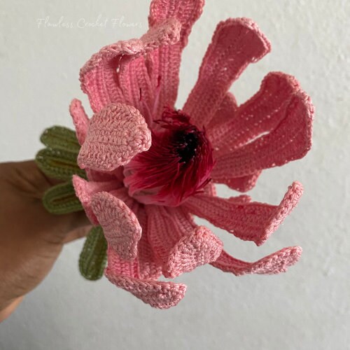 Crochet Protea