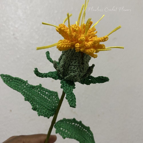 Crochet Safflower