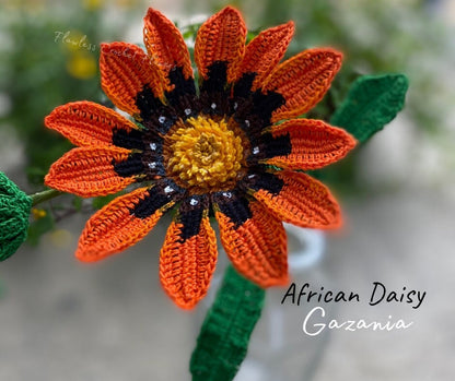 Crochet Gazania Daisy