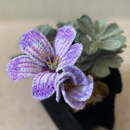 Silver Shamrocks