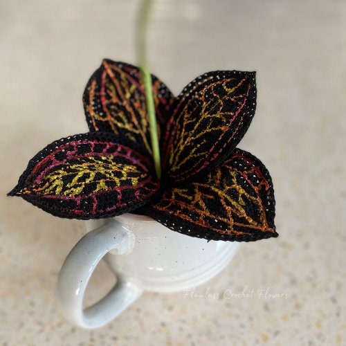 Marbled Jewel Orchid