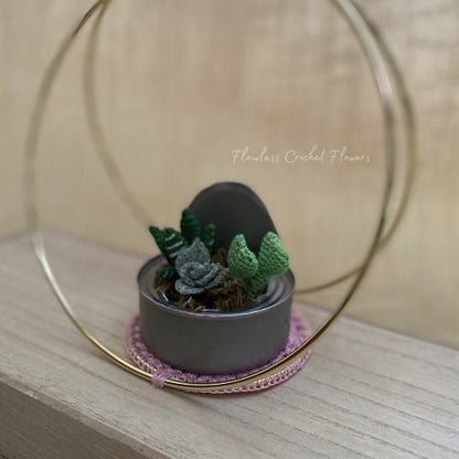 Tin Can Succulents