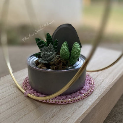 Tin Can Succulents
