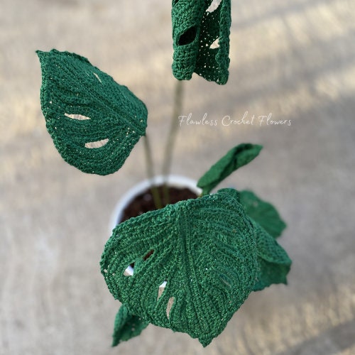 Crochet Swiss Cheese Monstera