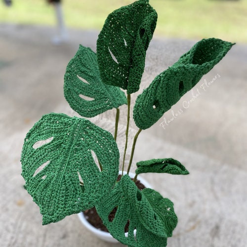 Crochet Swiss Cheese Monstera