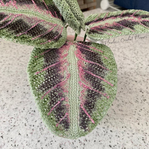 Crochet Prayer Plant