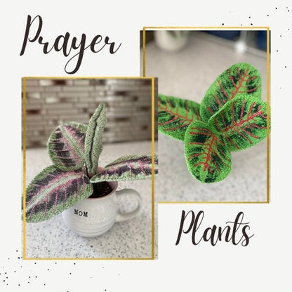 Crochet Prayer Plant
