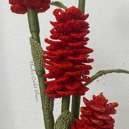 Beehive Ginger Plant