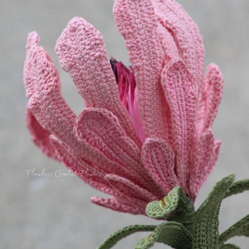 Crochet Protea