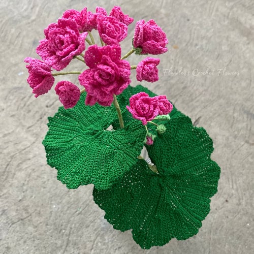 Crochet Rosebud Pelargonium