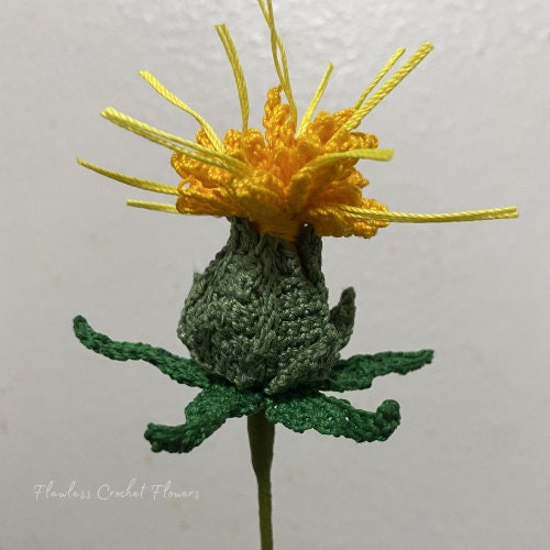 Crochet Safflower