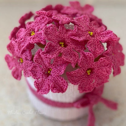 Crochet Petunia