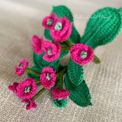Crown Of Thorns Euphorbia