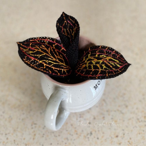 Marbled Jewel Orchid