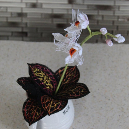Marbled Jewel Orchid
