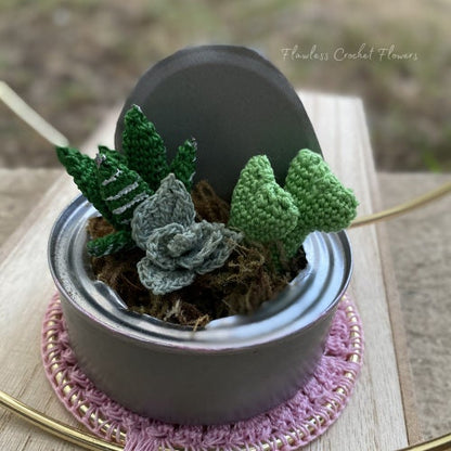 Tin Can Succulents