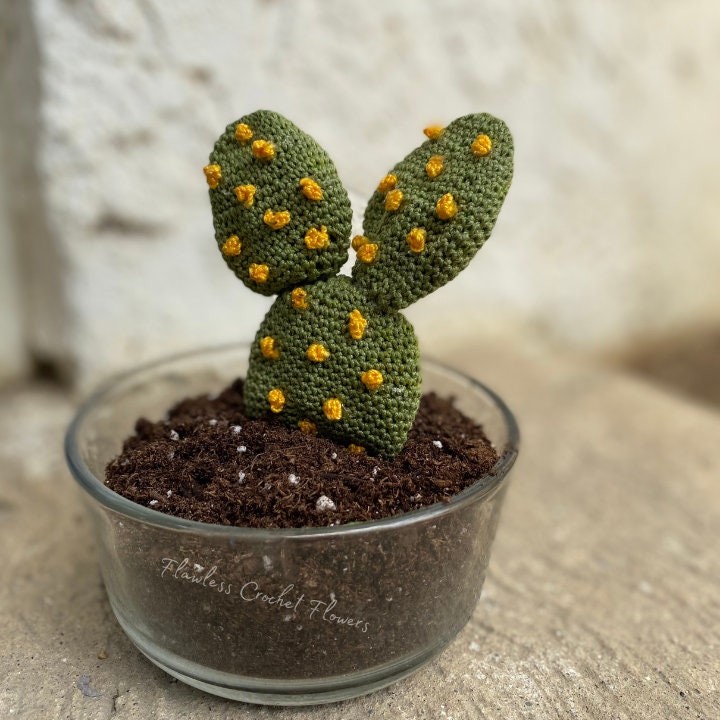 Bunny Ears Crochet Cactus