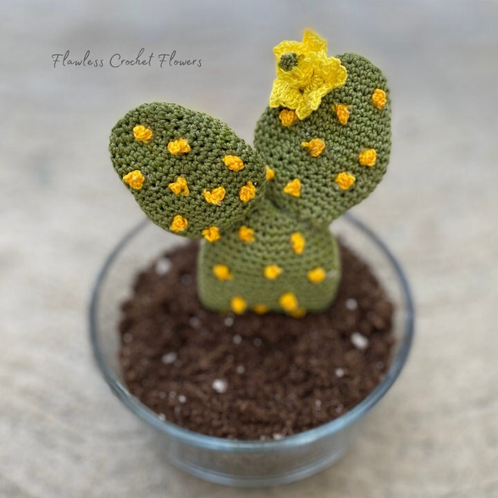 Bunny Ears Crochet Cactus