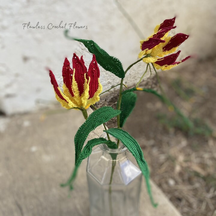 Gloriosa Flame Lily