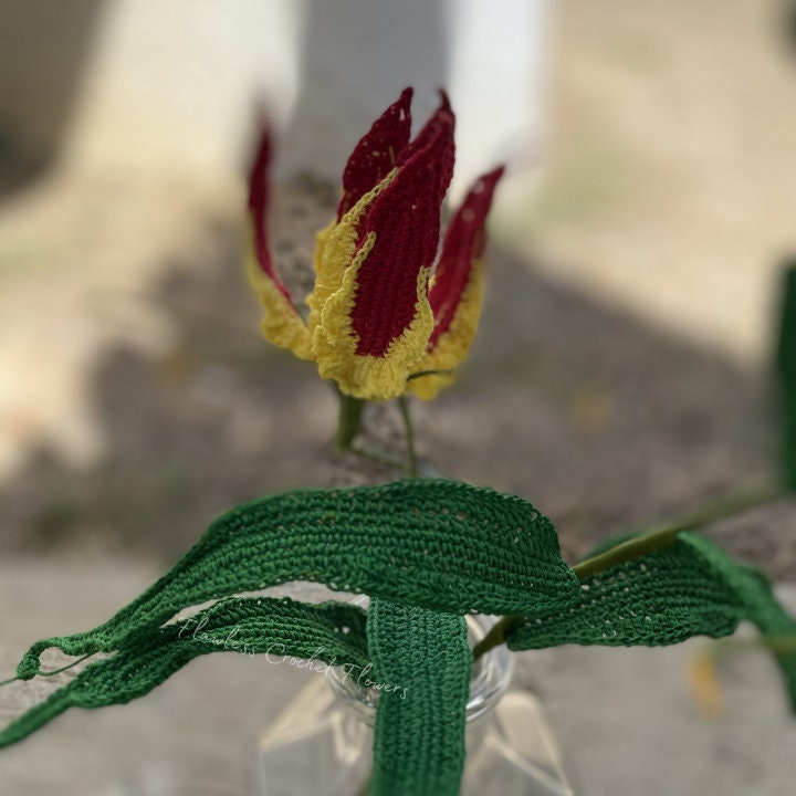 Gloriosa Flame Lily