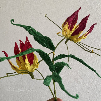 Gloriosa Flame Lily