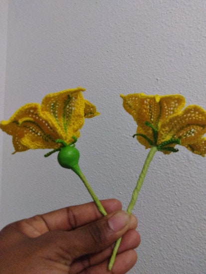 Pumpkin Blossoms