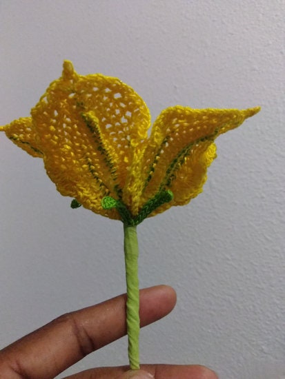 Pumpkin Blossoms