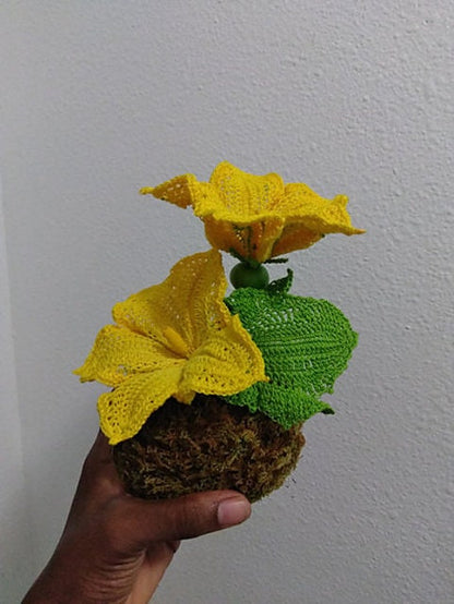 Pumpkin Blossoms
