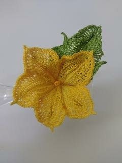 Pumpkin Blossoms