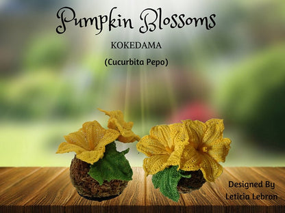 Pumpkin Blossoms