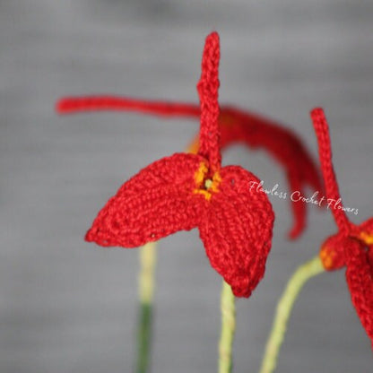 Crochet Orchid Masdevallia