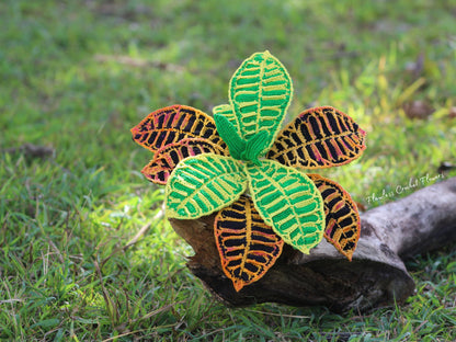 Crochet Croton Petra
