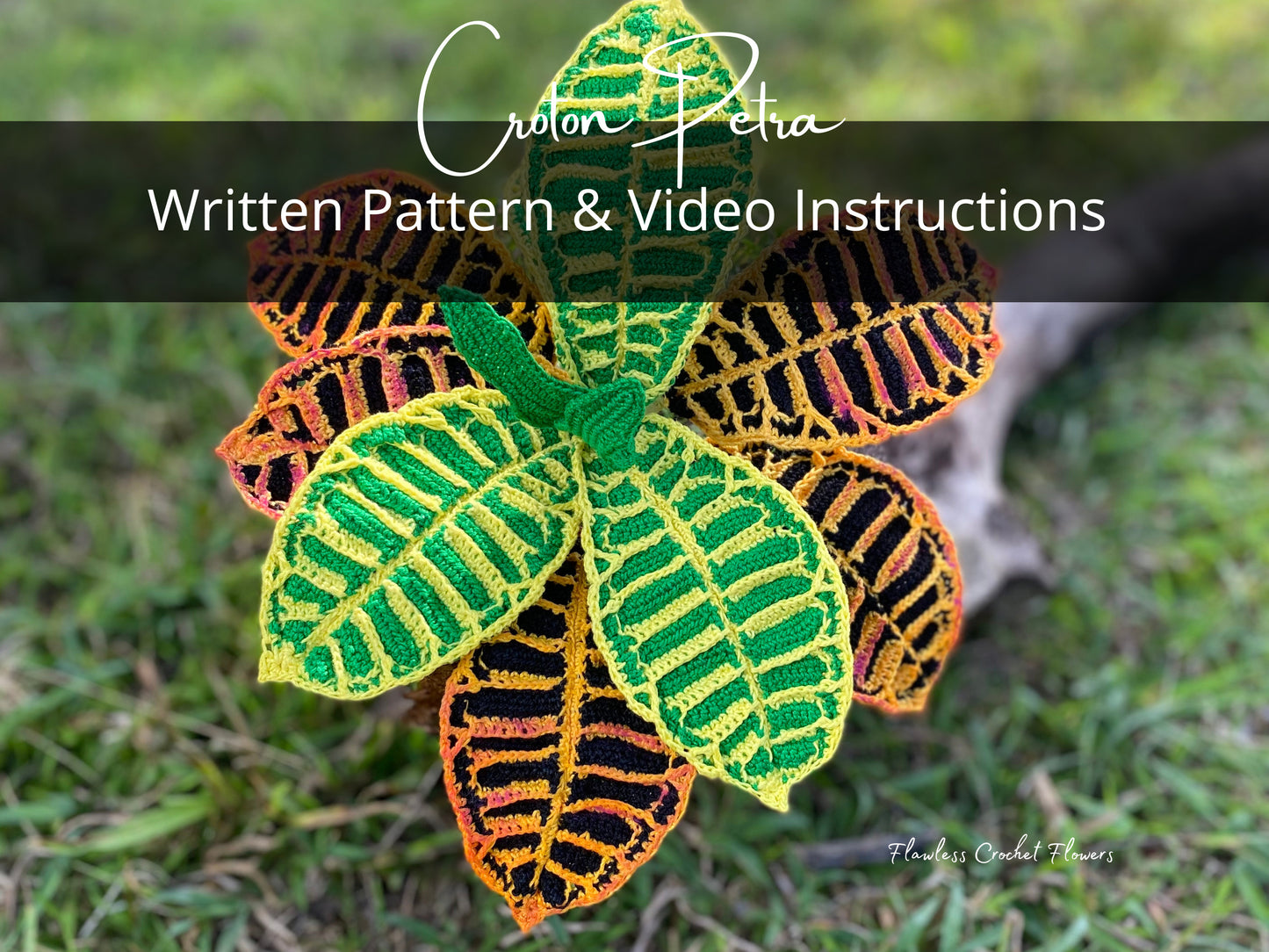 Crochet Croton Petra