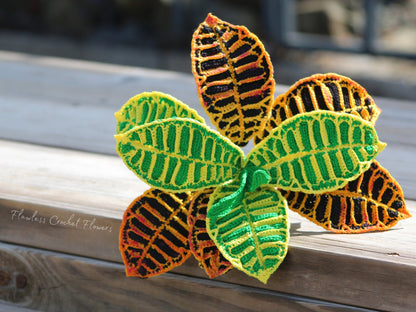 Crochet Croton Petra