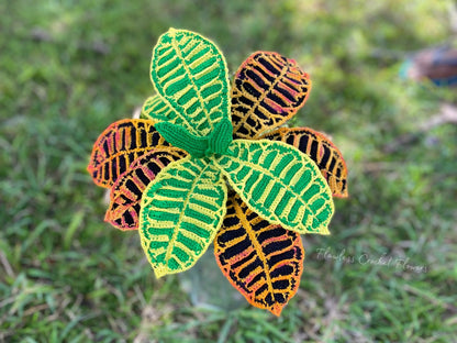 Crochet Croton Petra