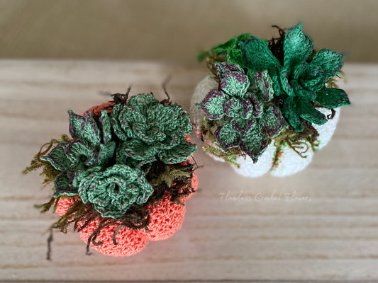 Crochet Pumpkin Succulents
