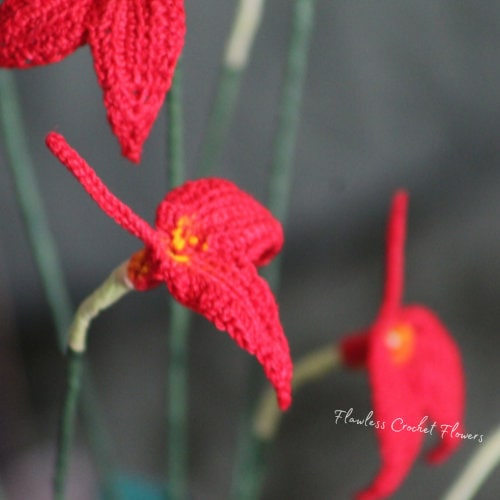 Crochet Orchid Masdevallia
