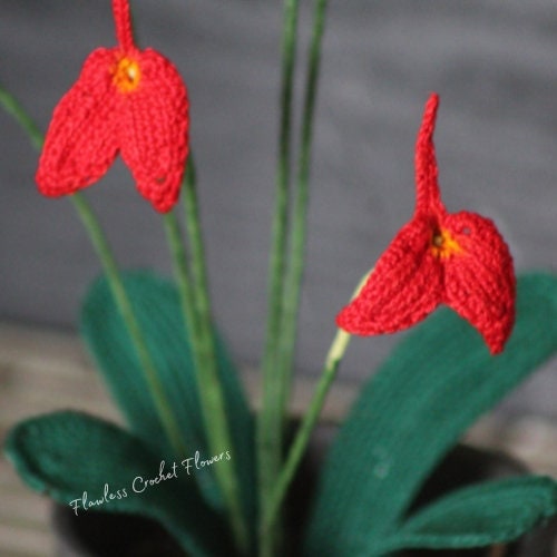 Crochet Orchid Masdevallia