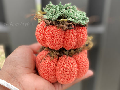Crochet Pumpkin Succulents