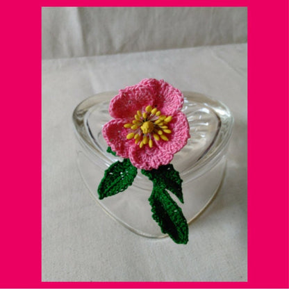 Rosa Canina Wild Rose