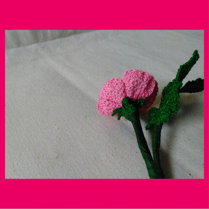 Rosa Canina Wild Rose
